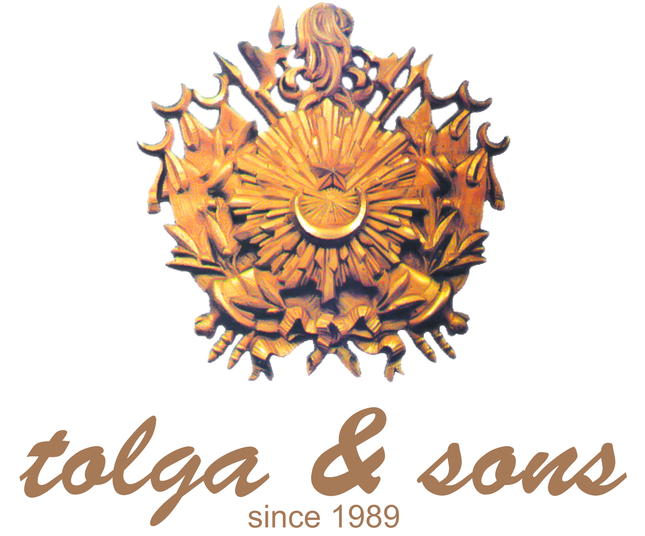 Tolgaandsons | tolgaandsons.com logo